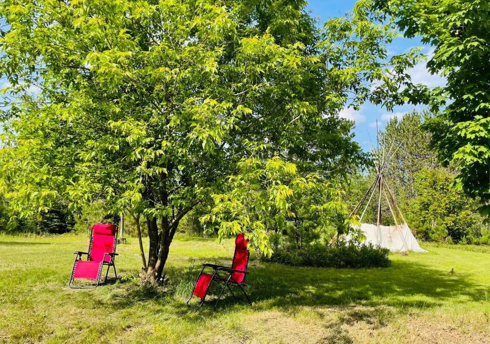 Chalets Nabu La Sacacomie - Riviere - Billard بلدية سان ألكسيس دي مونت المظهر الخارجي الصورة