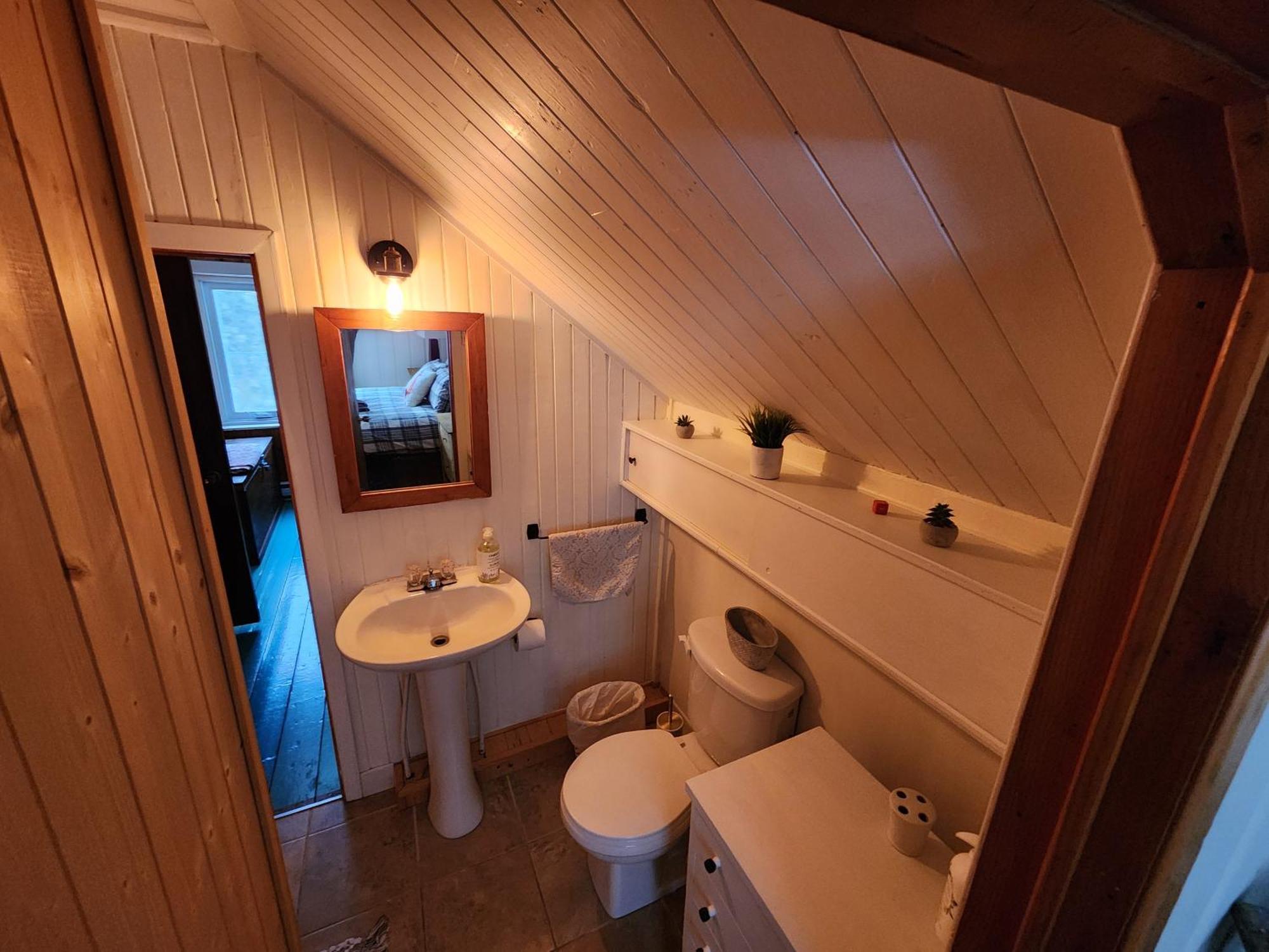 Chalets Nabu La Sacacomie - Riviere - Billard بلدية سان ألكسيس دي مونت المظهر الخارجي الصورة